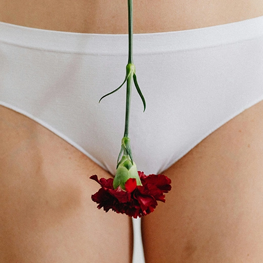 Clavel rojo con ingle de mujer de fondo como metáfora de la menstruación